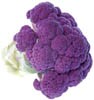 purple cauliflower